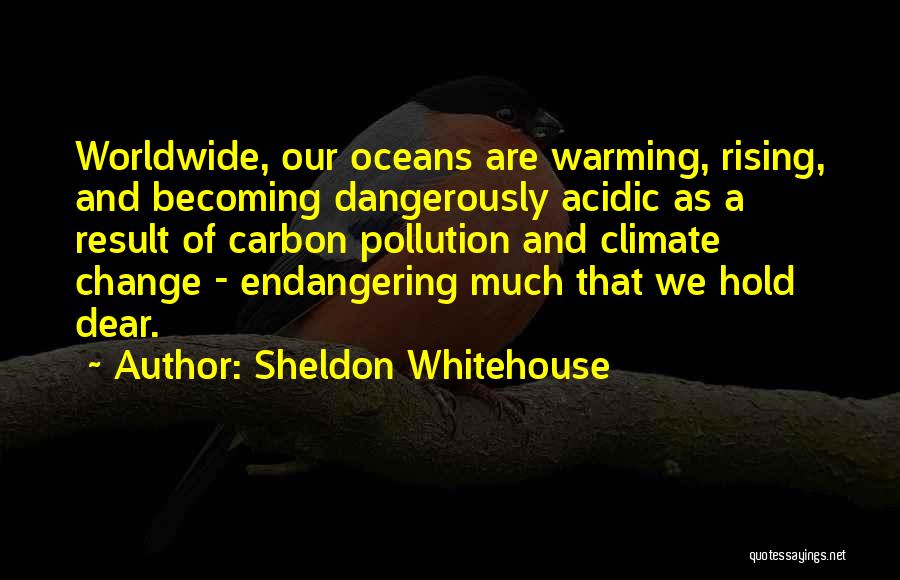 Oceans Quotes By Sheldon Whitehouse