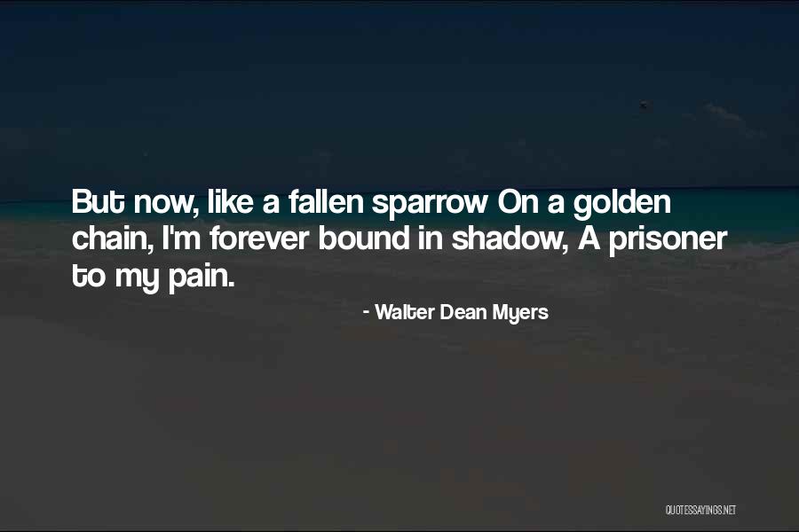 Ochranne Quotes By Walter Dean Myers Ochranne Quotes By Walter Dean Myers