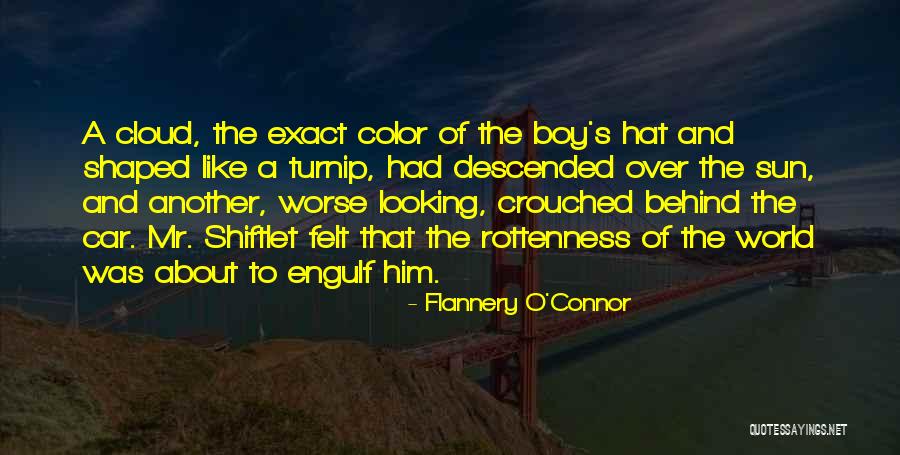 O'connor Quotes By Flannery O'Connor