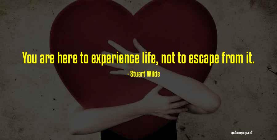 Ocorrido Ou Quotes By Stuart Wilde Ocorrido Ou Quotes By Stuart Wilde