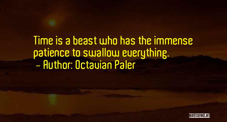 Octavian Paler Quotes 1929980
