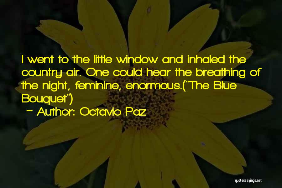 Octavio Paz Quotes 189971