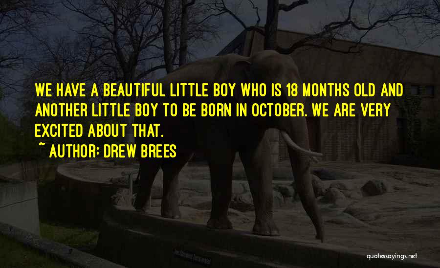 October Born Quotes By Drew Brees