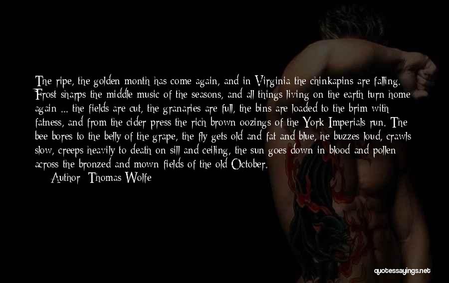 October Month Quotes By Thomas Wolfe