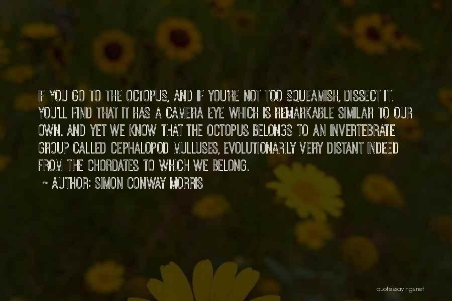 Octopus Quotes By Simon Conway Morris