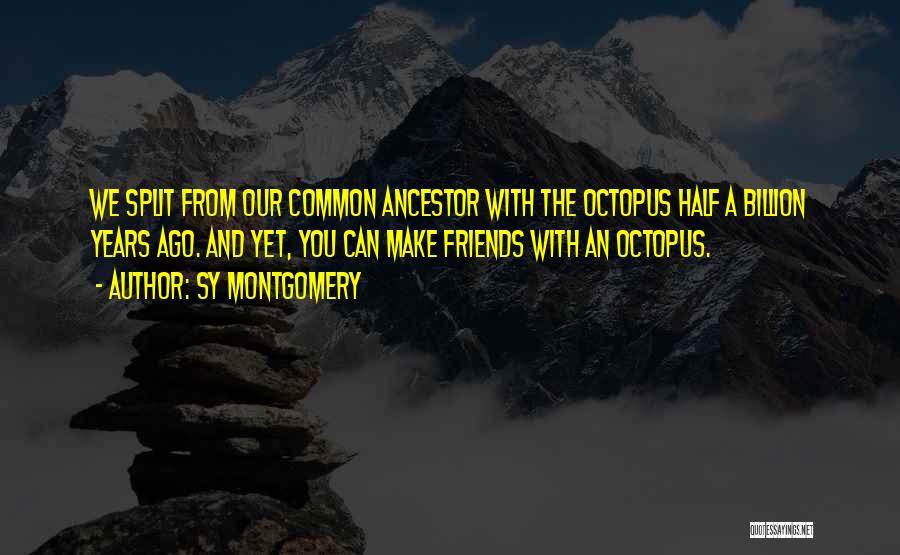 Octopus Quotes By Sy Montgomery