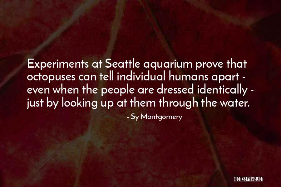 Octopuses Quotes By Sy Montgomery Octopuses Quotes By Sy Montgomery