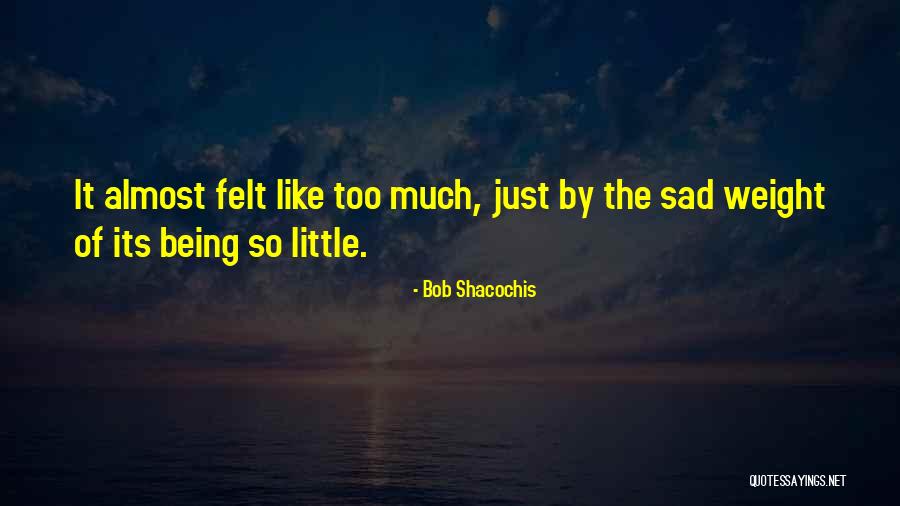 Oculto 477 Quotes By Bob Shacochis Oculto 477 Quotes By Bob Shacochis