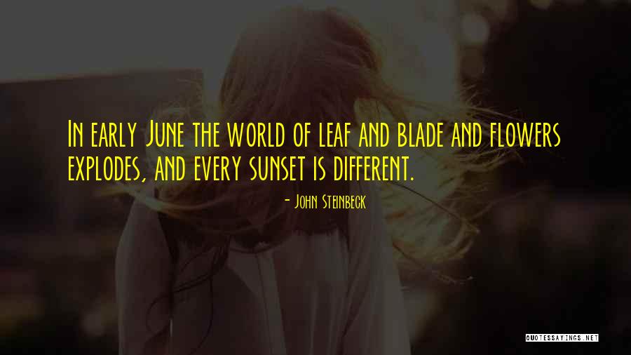 Oculto Pelicula Quotes By John Steinbeck Oculto Pelicula Quotes By John Steinbeck