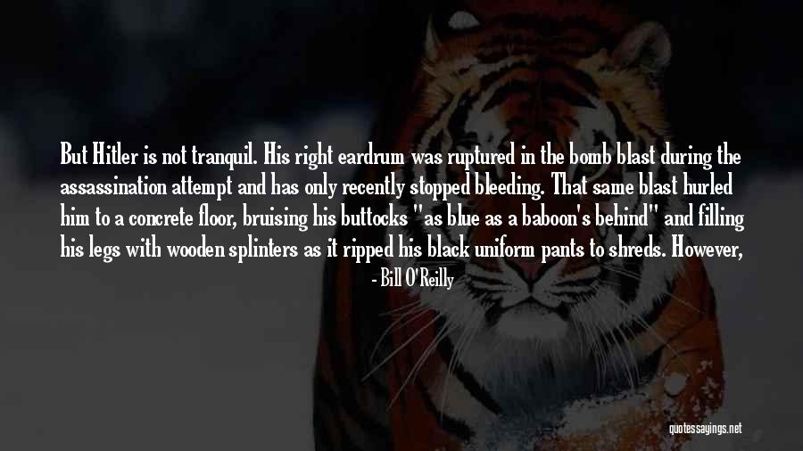 Odahuttidavaru Quotes By Bill O'Reilly Odahuttidavaru Quotes By Bill O'Reilly