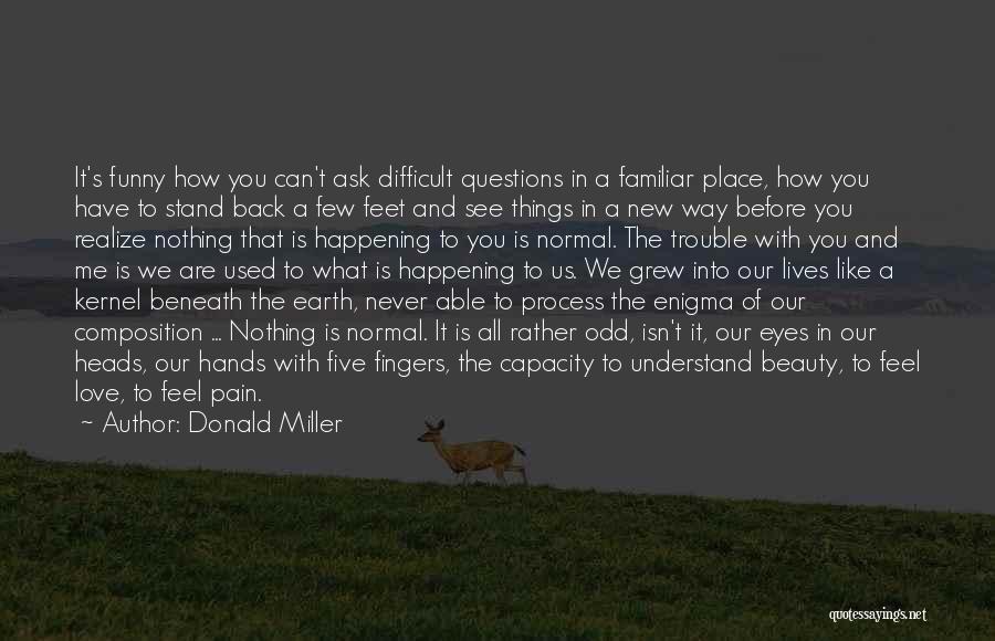 Odd Beauty Quotes By Donald Miller