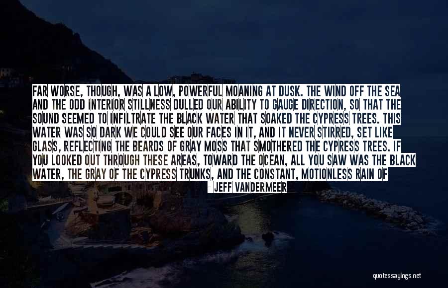 Odd Beauty Quotes By Jeff VanderMeer Odd Beauty Quotes By Jeff VanderMeer