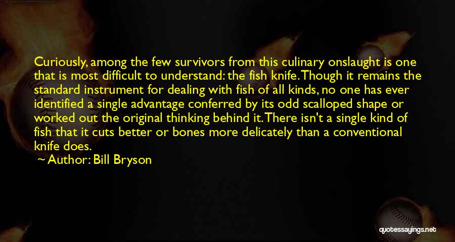 Odd One Out Quotes By Bill Bryson