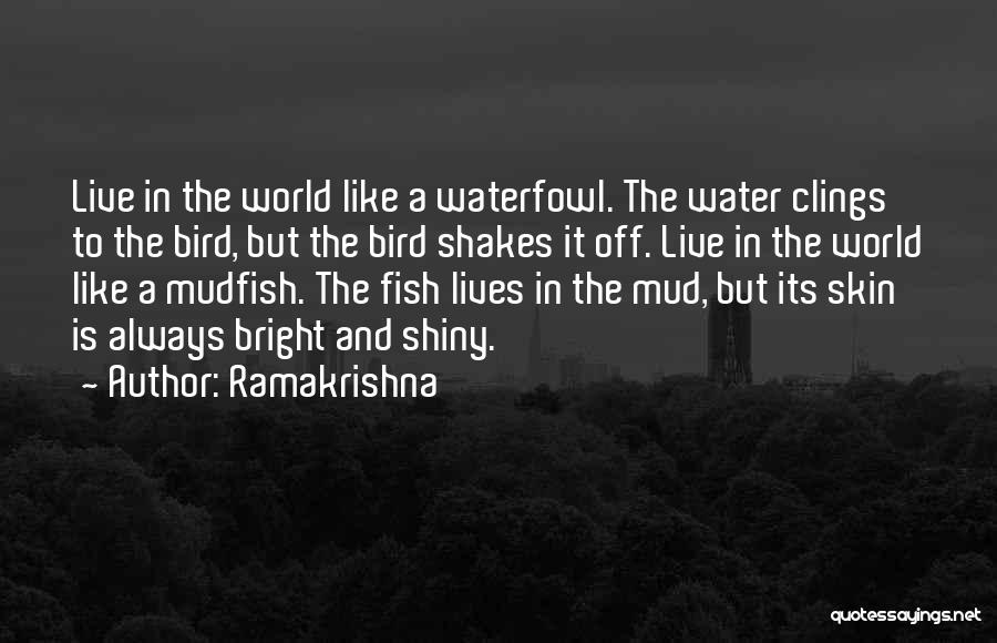 Odder Popz Quotes By Ramakrishna