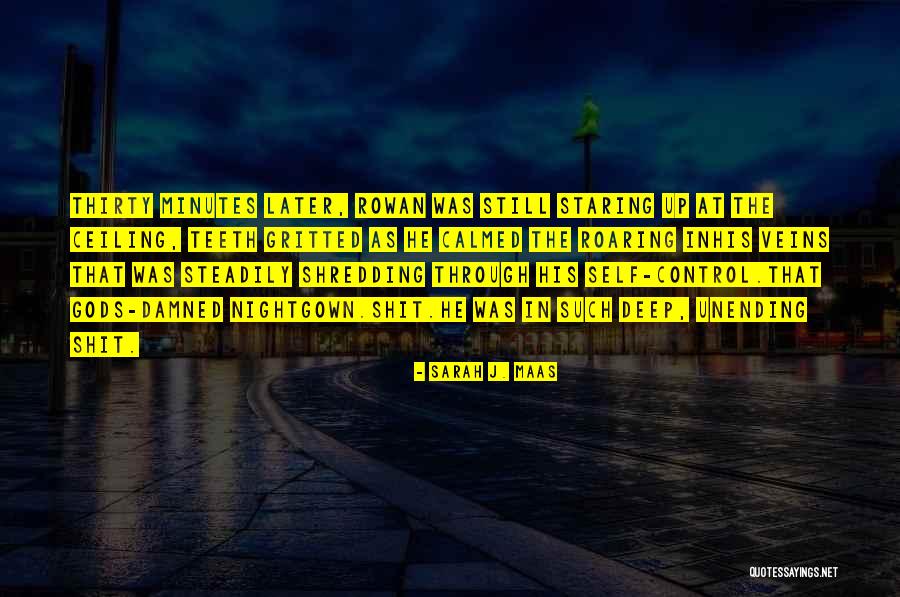 Odebr N Str Nky Word Quotes By Sarah J. Maas Odebr N Str Nky Word Quotes By Sarah J. Maas