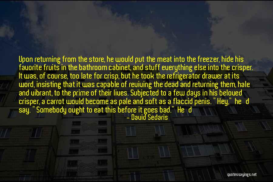 Odendhal Avenue Quotes By David Sedaris Odendhal Avenue Quotes By David Sedaris