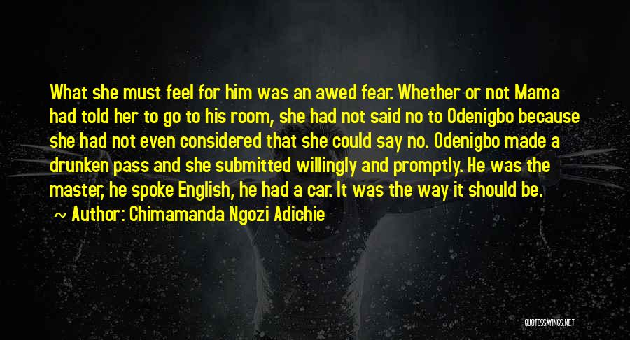 Odenigbo Quotes By Chimamanda Ngozi Adichie