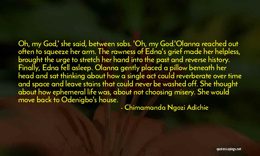 Odenigbo Quotes By Chimamanda Ngozi Adichie