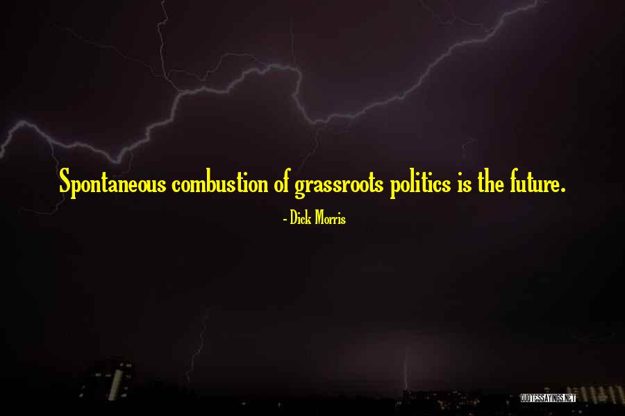 Odenw Lder Dreispitz Quotes By Dick Morris Odenw Lder Dreispitz Quotes By Dick Morris