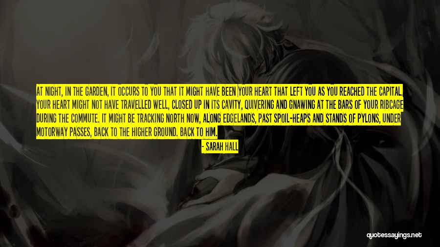 Odlin County Quotes By Sarah Hall Odlin County Quotes By Sarah Hall