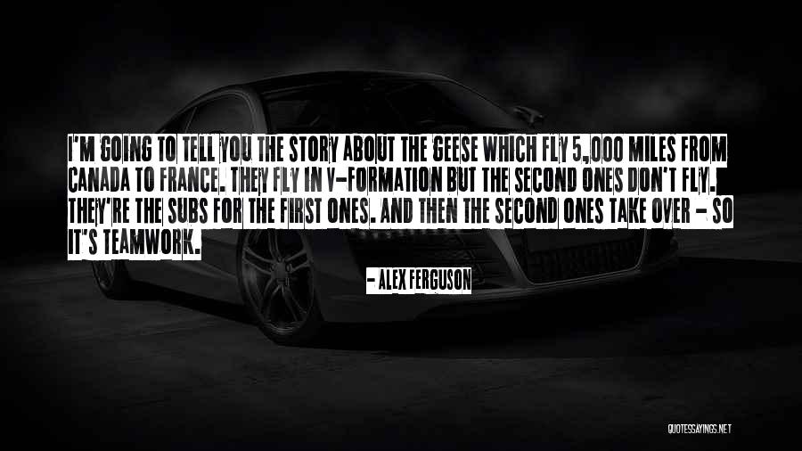 Odlucujem Quotes By Alex Ferguson Odlucujem Quotes By Alex Ferguson
