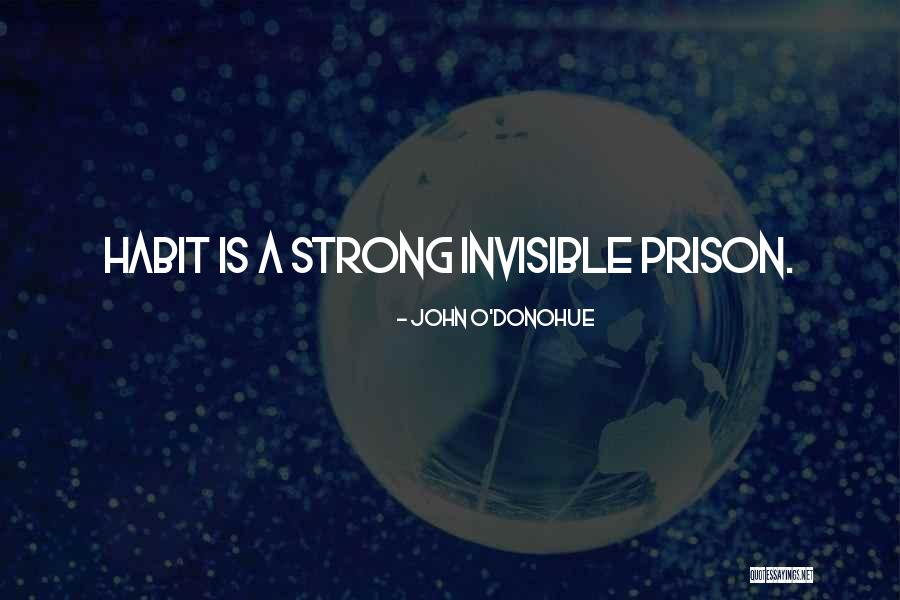 O'doyle Quotes By John O'Donohue