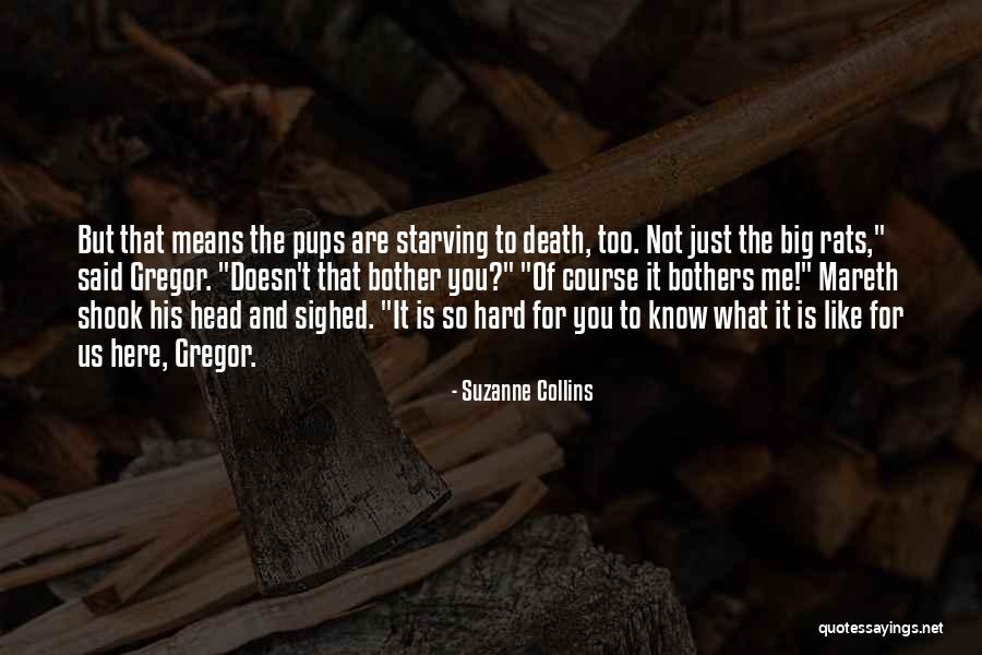 Odreitev Quotes By Suzanne Collins Odreitev Quotes By Suzanne Collins