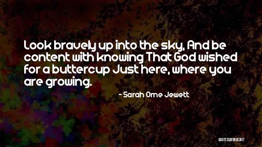 Odwiedz Wielka Quotes By Sarah Orne Jewett Odwiedz Wielka Quotes By Sarah Orne Jewett