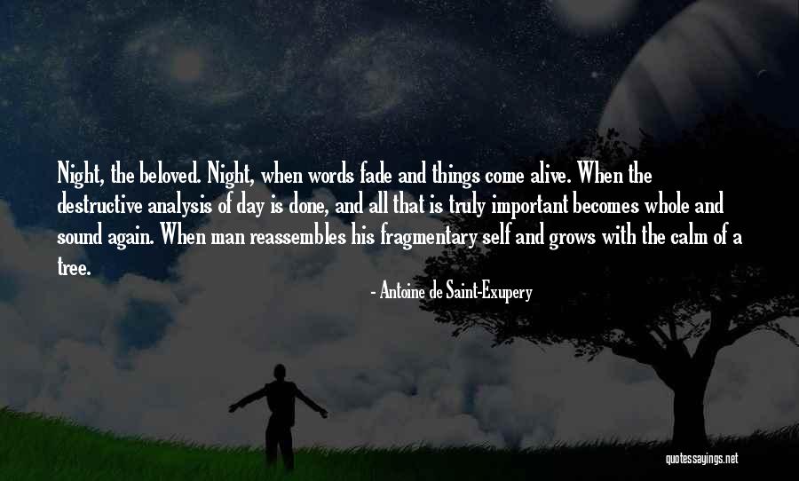 Odwyk Alkoholowy Quotes By Antoine De Saint-Exupery Odwyk Alkoholowy Quotes By Antoine De Saint-Exupery