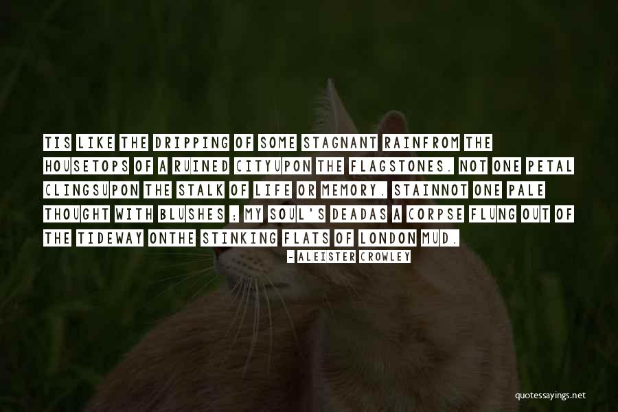 Oefelein Astronaut Quotes By Aleister Crowley Oefelein Astronaut Quotes By Aleister Crowley