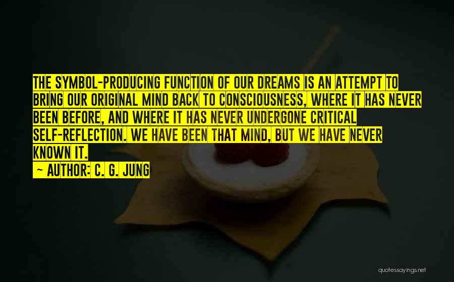 Oehlerking Hauling Quotes By C. G. Jung