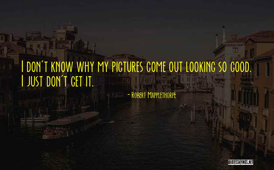 Oehmke Quotes By Robert Mapplethorpe Oehmke Quotes By Robert Mapplethorpe