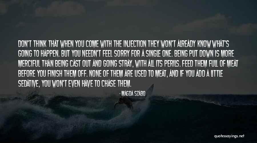 Of Being Single Quotes By Magda Szabo Of Being Single Quotes By Magda Szabo