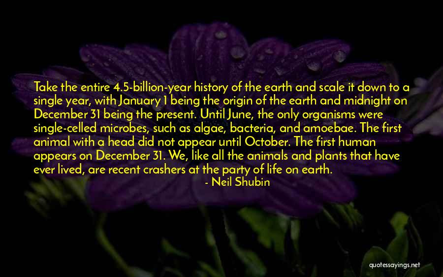 Of Being Single Quotes By Neil Shubin Of Being Single Quotes By Neil Shubin