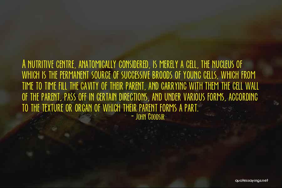 Off Centre Quotes By John Goodsir Off Centre Quotes By John Goodsir