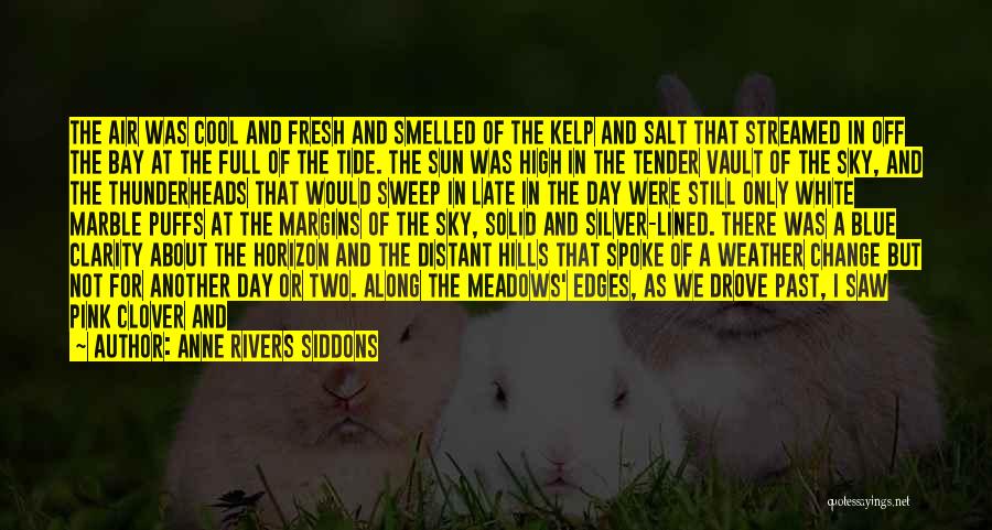 Off For The Day Quotes By Anne Rivers Siddons