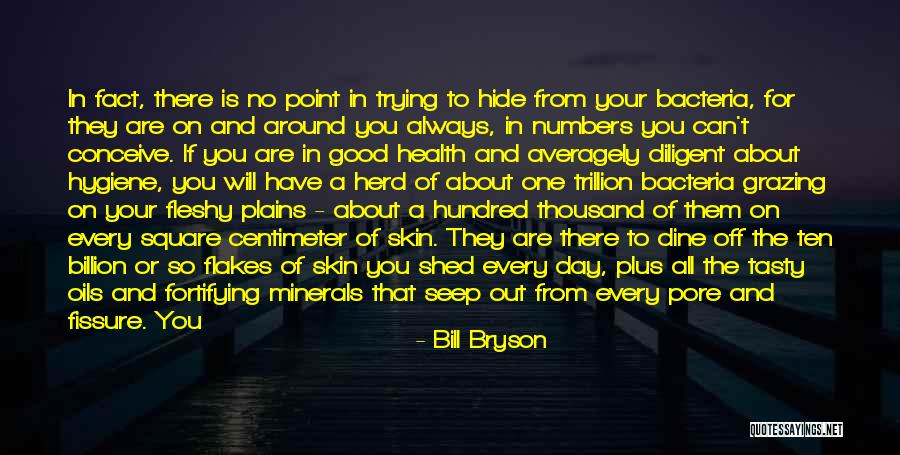 Off For The Day Quotes By Bill Bryson