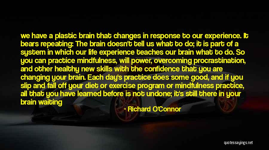 Off For The Day Quotes By Richard O'Connor