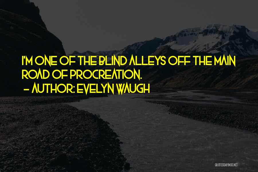 Off Road Quotes By Evelyn Waugh