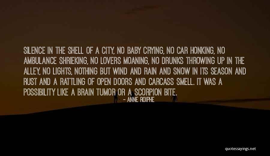 Off Season Rain Quotes By Anne Roiphe Off Season Rain Quotes By Anne Roiphe