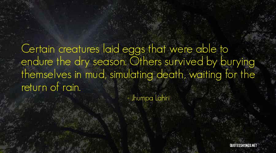Off Season Rain Quotes By Jhumpa Lahiri Off Season Rain Quotes By Jhumpa Lahiri