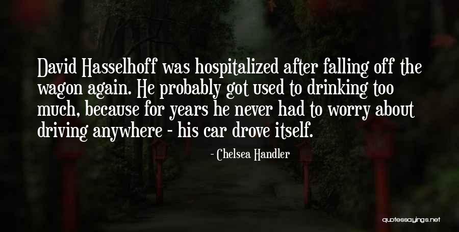 Off The Wagon Quotes By Chelsea Handler Off The Wagon Quotes By Chelsea Handler