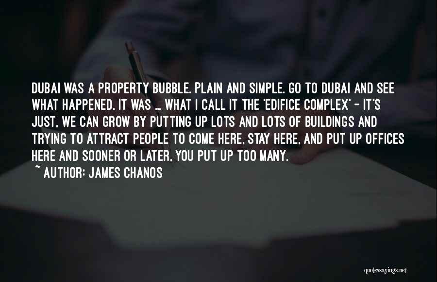 Off To Dubai Quotes By James Chanos