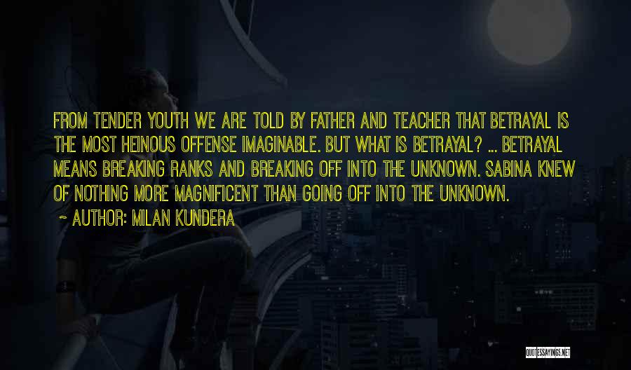 Offense Quotes By Milan Kundera