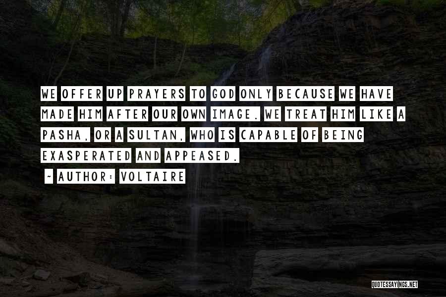Offer Prayers Quotes By Voltaire