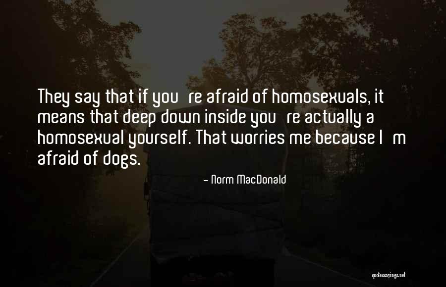 Office Dwight Schrute Quotes By Norm MacDonald Office Dwight Schrute Quotes By Norm MacDonald