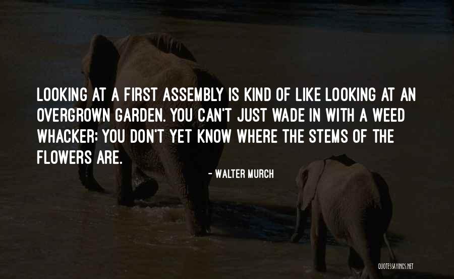 Office Uk Tim Quotes By Walter Murch Office Uk Tim Quotes By Walter Murch