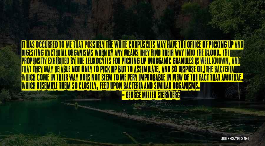 Office With A View Quotes By George Miller Sternberg Office With A View Quotes By George Miller Sternberg