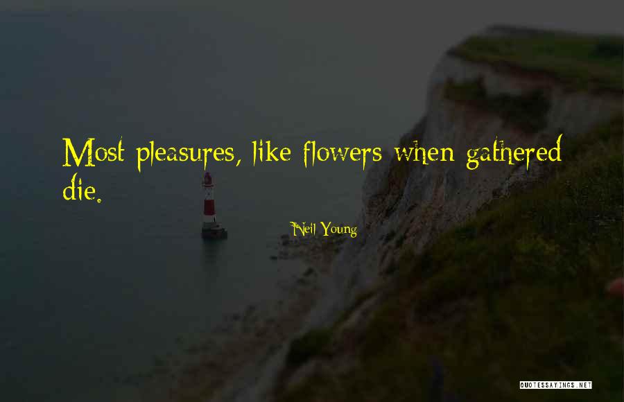Offino Quotes By Neil Young Offino Quotes By Neil Young