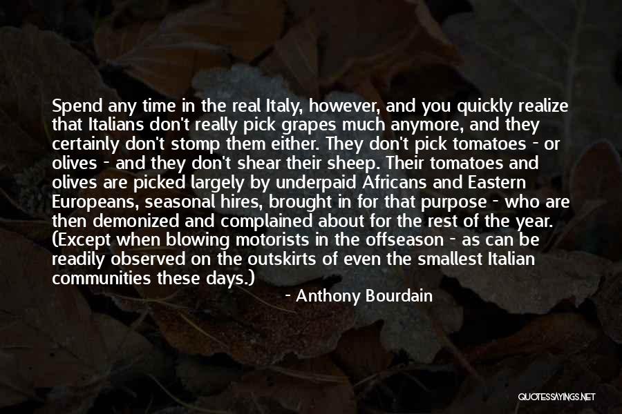 Offseason Quotes By Anthony Bourdain